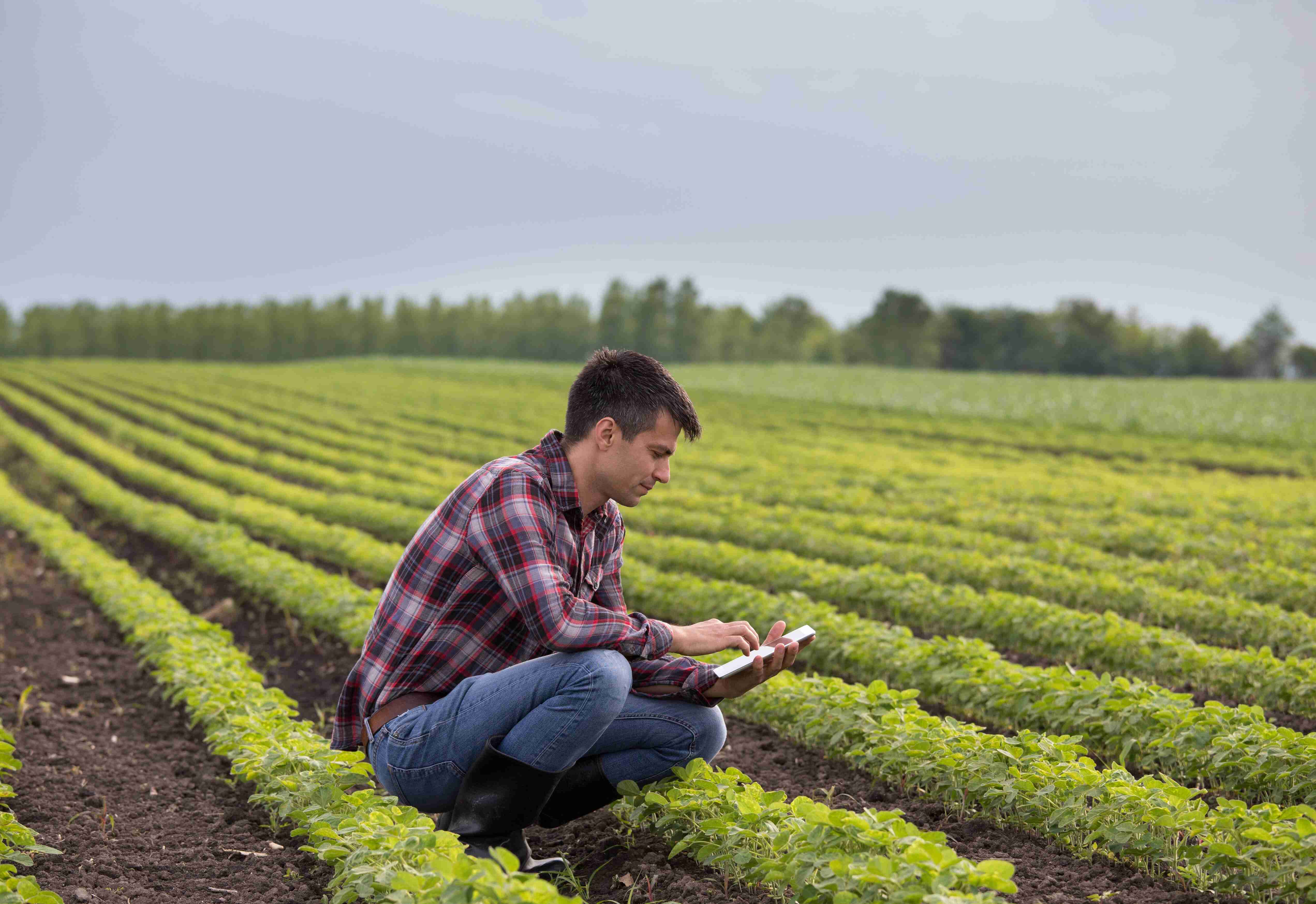 Farmer using surveying equipment in a field